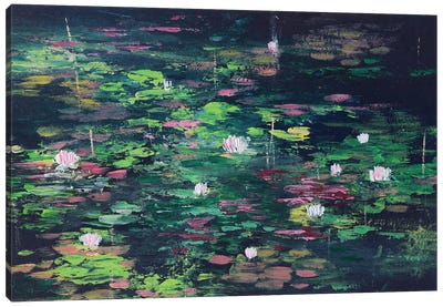 Black Abstract Water Lilies Pond Canvas Art Print - Amita Dand