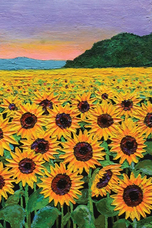 Sunflowers At Sunset