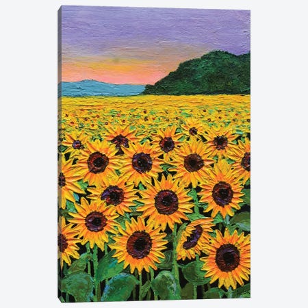 Sunflowers At Sunset Canvas Print #AMT43} by Amita Dand Canvas Artwork