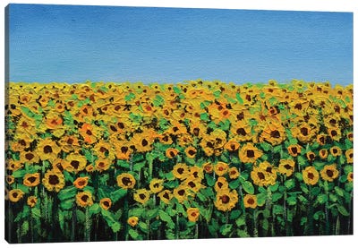 Sunflowers On A Sunny Day Canvas Art Print - Amita Dand
