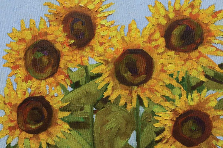 Sunlit Sunflowers Canvas Art Print by Amita Dand | iCanvas