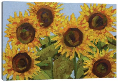 Sunlit Sunflowers Canvas Art Print - Amita Dand