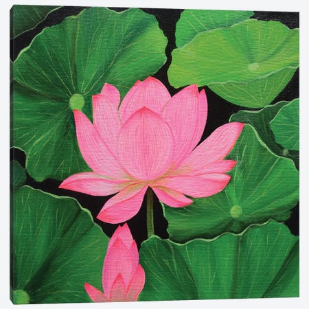 Pink Lotus Canvas Print #AMT50} by Amita Dand Canvas Print