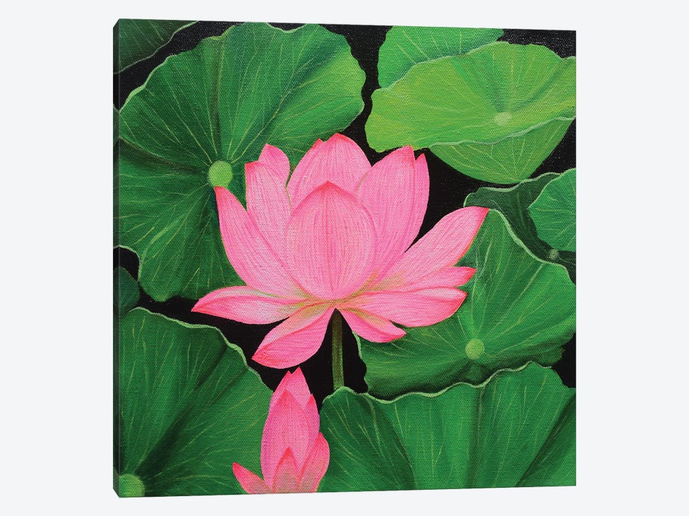 Pink Lotus by Amita Dand 1-piece Canvas Artwork