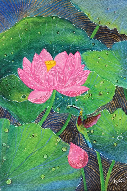 Pink Lotus With Hummingbird