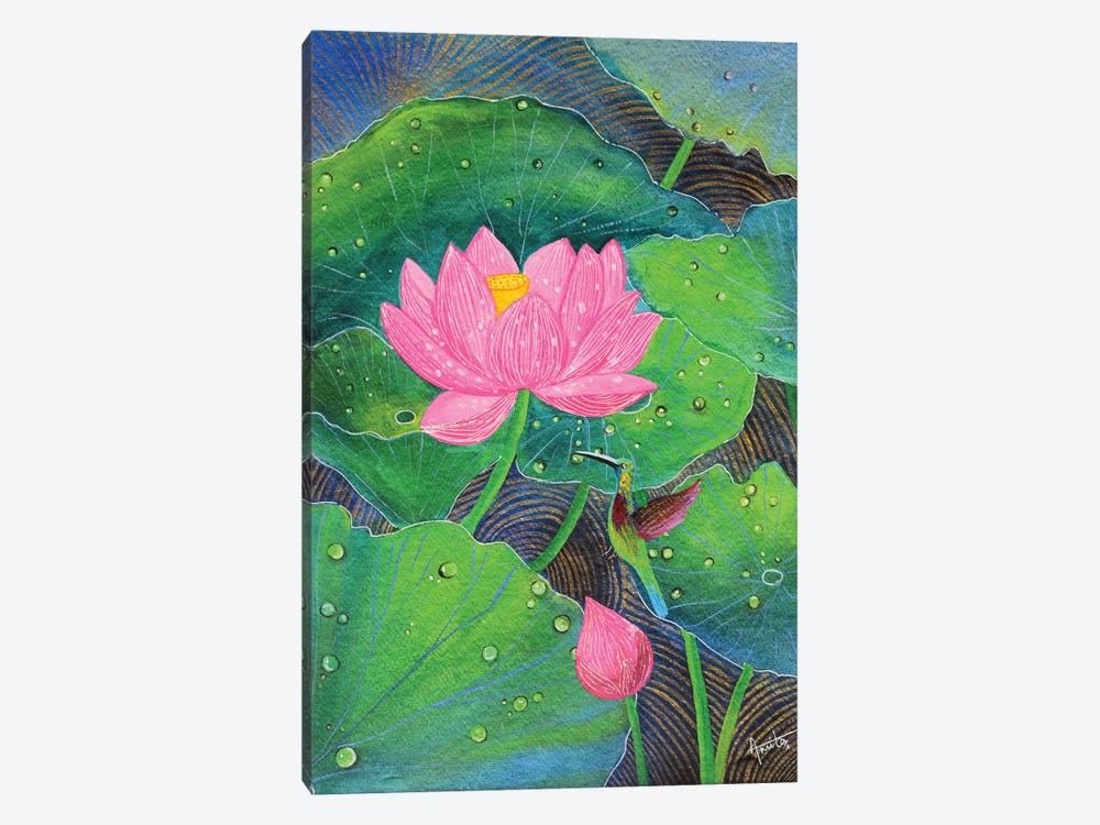 Pink Lotus With Hummingbird by Amita Dand 1-piece Canvas Art Print