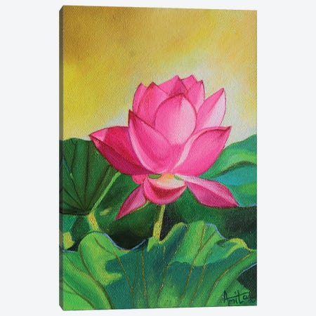 Sunkissed Pink Lotus Canvas Print #AMT52} by Amita Dand Art Print