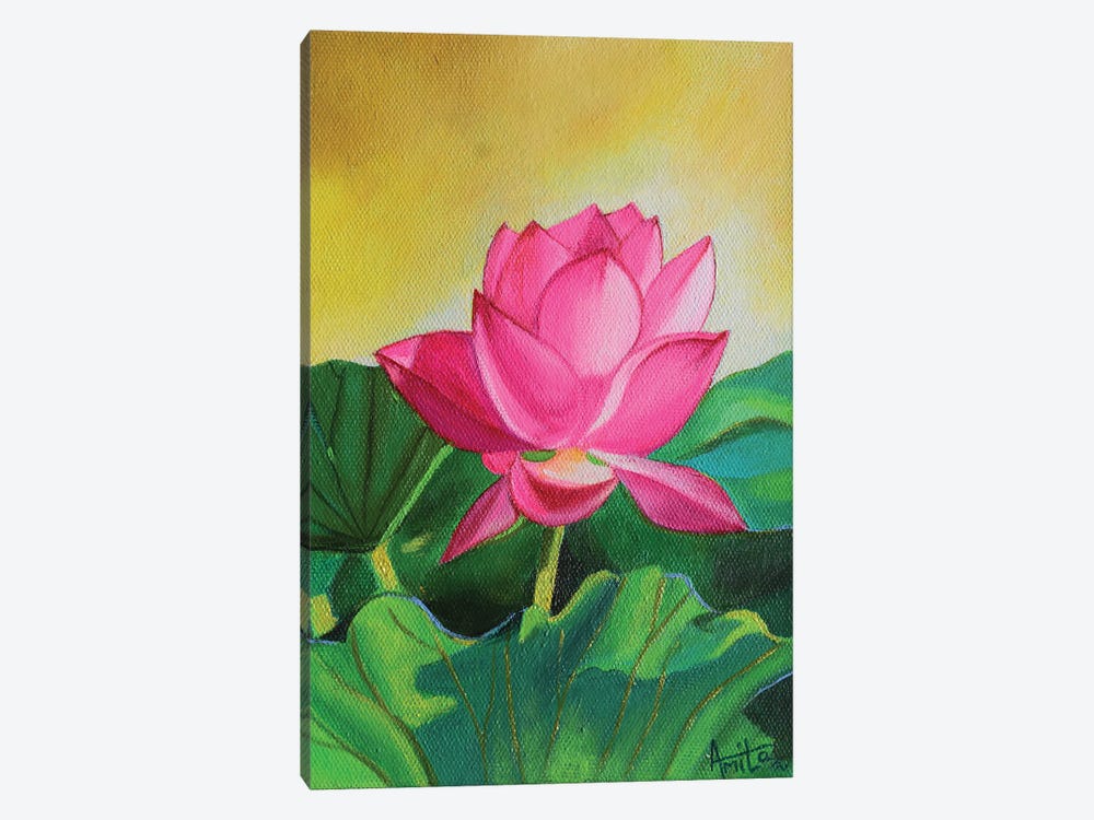 Sunkissed Pink Lotus by Amita Dand 1-piece Canvas Artwork