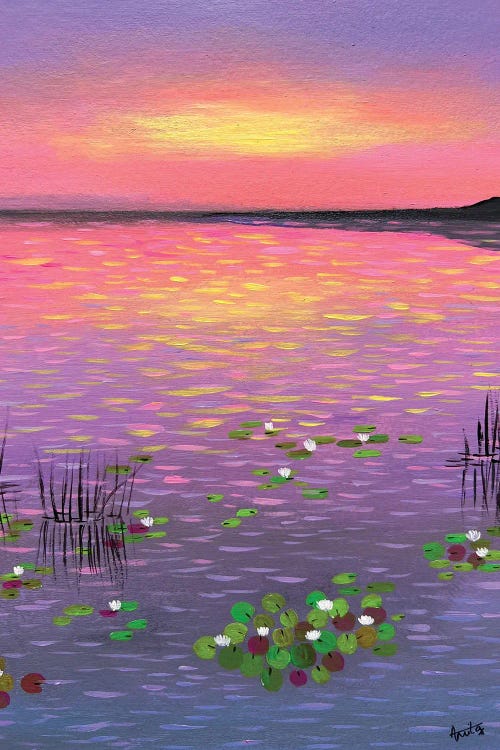 Water Lilies At Sunset - V