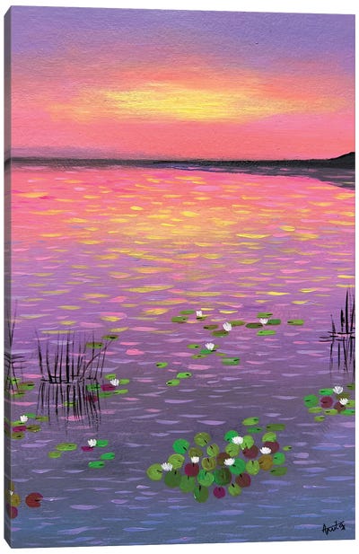 Water Lilies At Sunset - V Canvas Art Print - Amita Dand