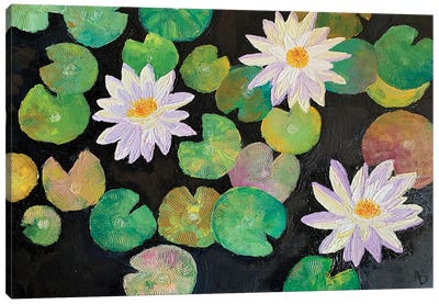 3 Water Lilies Canvas Art Print - Amita Dand