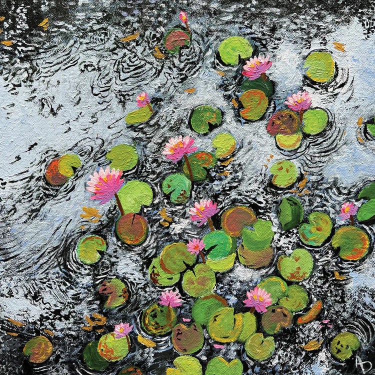 Water Lilies In Flowing Water