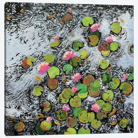 Water Lilies In Flowing Water Canvas Print #AMT73} by Amita Dand Art Print