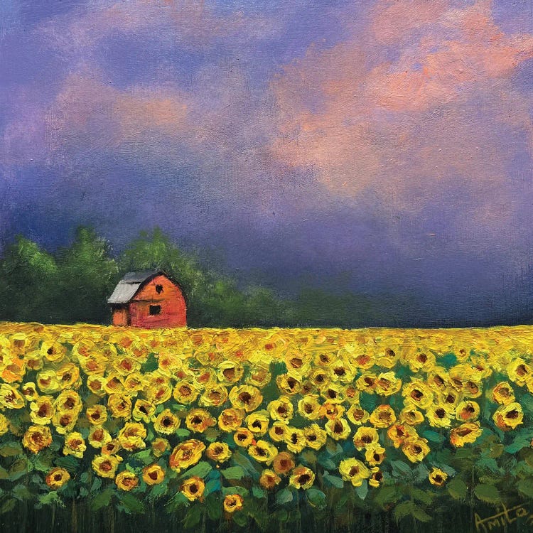 Sunflowers And Red Barn