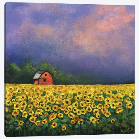 Sunflowers And Red Barn Canvas Print #AMT76} by Amita Dand Canvas Wall Art
