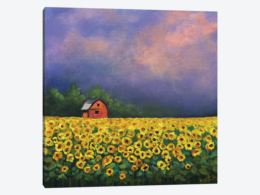 Sunflowers And Red Barn by Amita Dand 1-piece Canvas Art