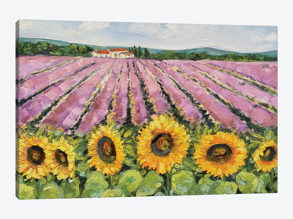 Lavender And Sunflower Field by Amita Dand 1-piece Canvas Wall Art