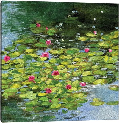 Morning Water Lily Pond Canvas Art Print - Lily Art