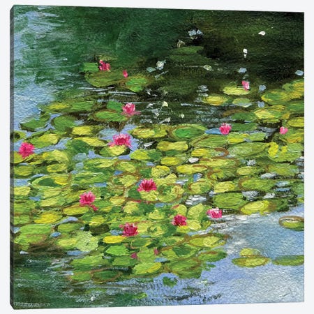 Morning Water Lily Pond Canvas Print #AMT81} by Amita Dand Canvas Wall Art