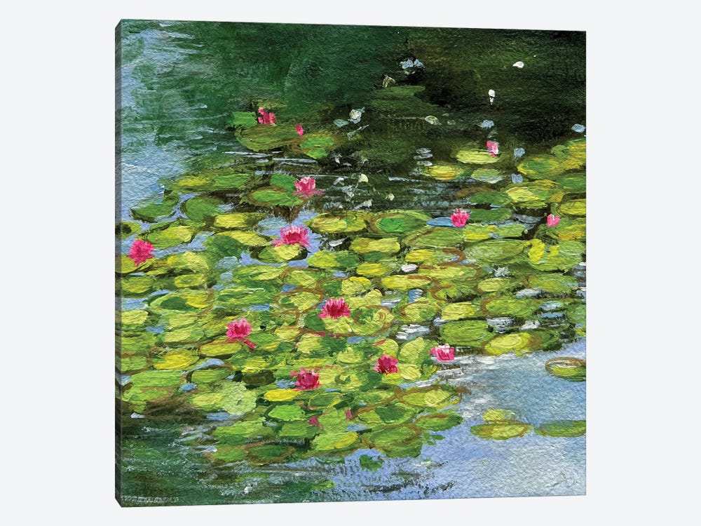 Morning Water Lily Pond by Amita Dand 1-piece Canvas Artwork