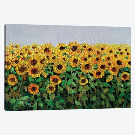 Bright Sunflower Field Canvas Print #AMT84} by Amita Dand Canvas Art Print