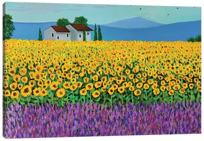 Sunflower And Lavender Field Canvas Art Print - Yellow Art