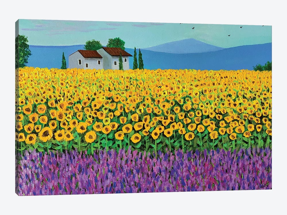 Sunflower And Lavender Field by Amita Dand 1-piece Canvas Art