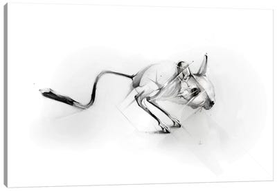 Egyptian Jerboa Canvas Art Print - Rats