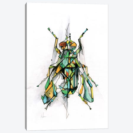 Fly Canvas Print #AMU12} by Alexis Marcou Canvas Art