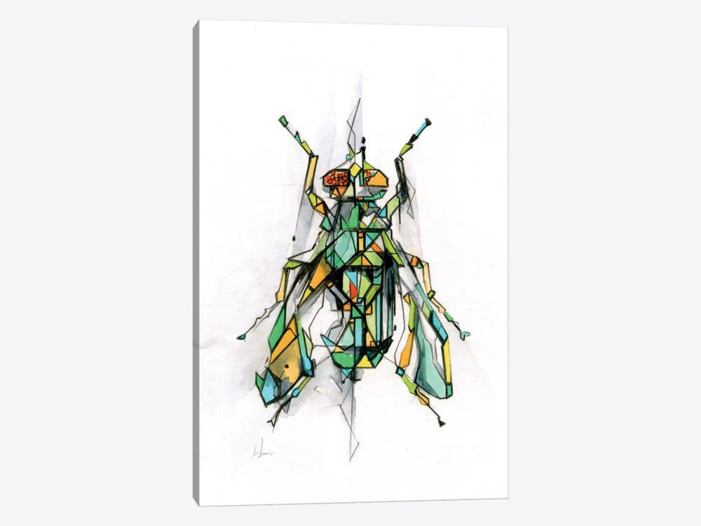 Fly 1-piece Canvas Art Print