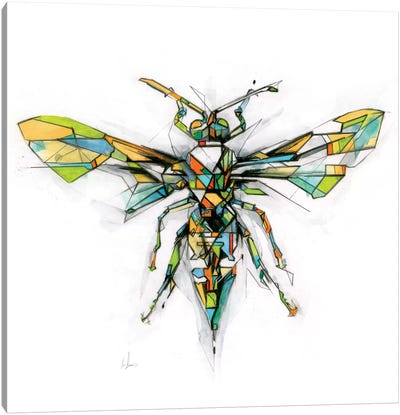 Hornet Canvas Art Print - Bee Art