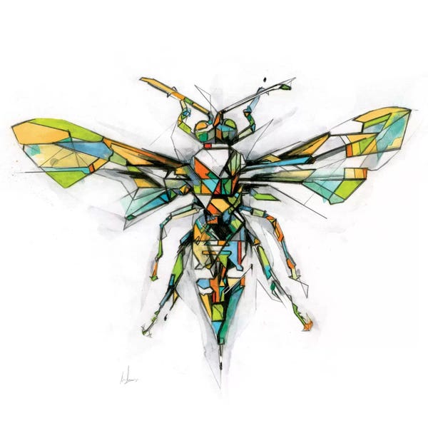 Bees: Hornet by Alexis Marcou