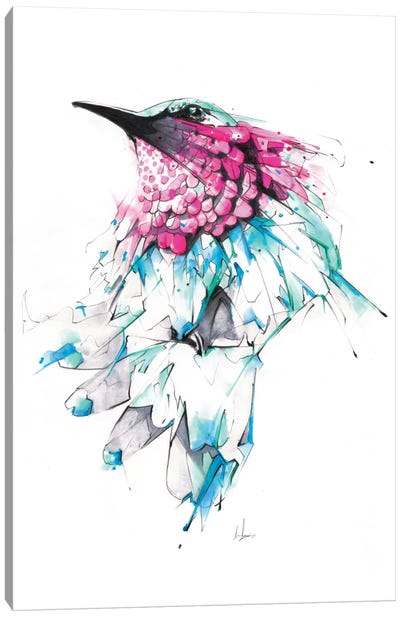 Hummingbird Canvas Art Print - Alexis Marcou