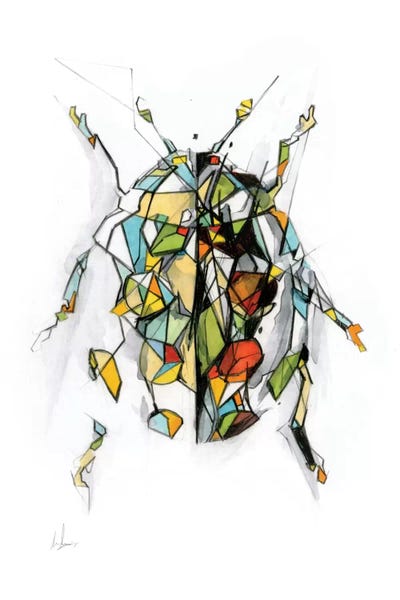 Ladybird by Alexis Marcou canvas print