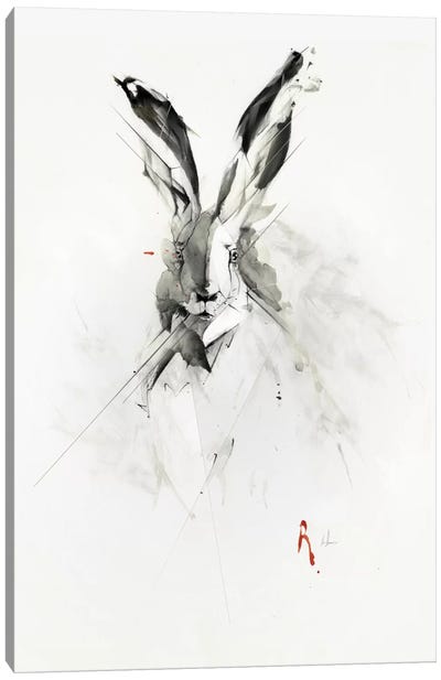 Mr. Rabbit Canvas Art Print - Alexis Marcou