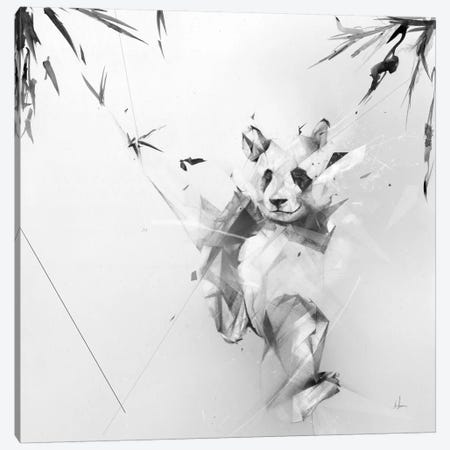 Panda Canvas Print #AMU23} by Alexis Marcou Canvas Art Print