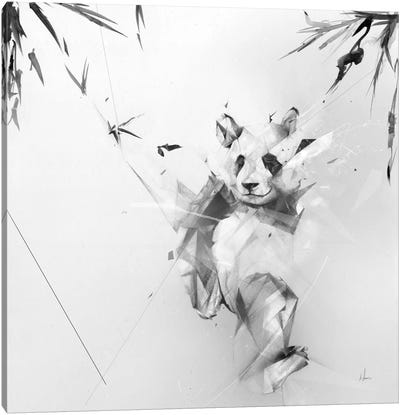 Panda Canvas Art Print - Alexis Marcou