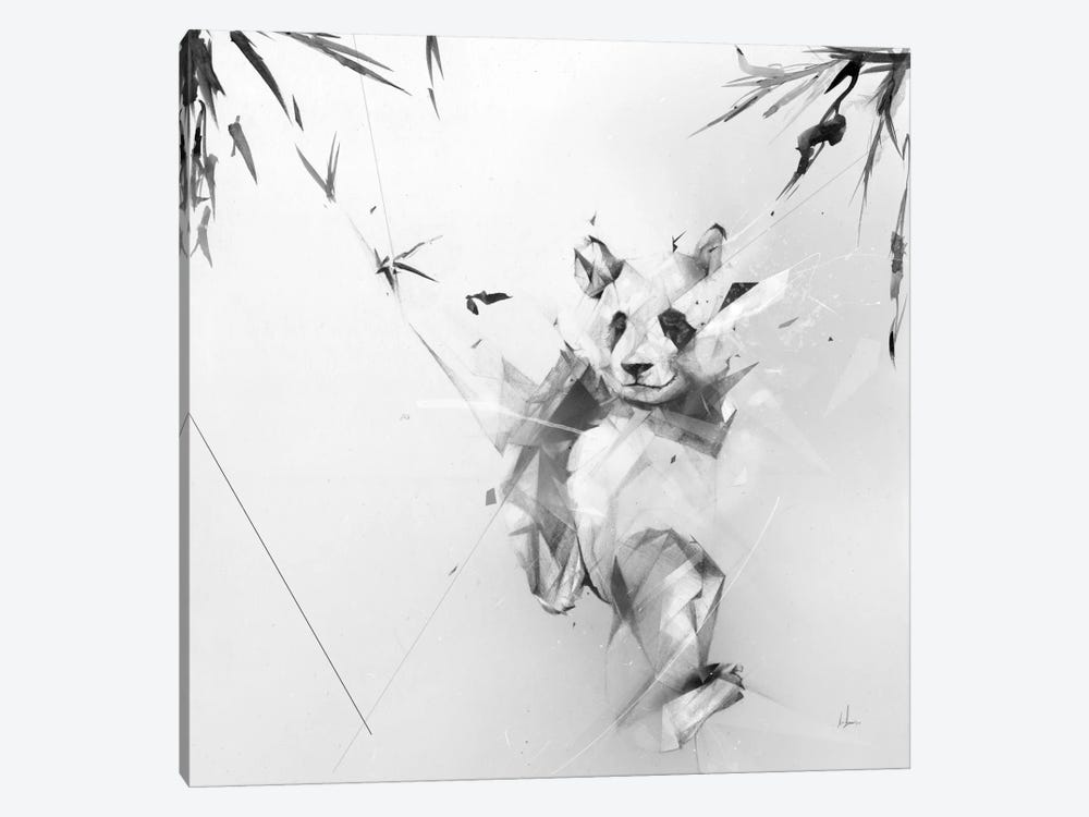 Panda by Alexis Marcou 1-piece Canvas Print