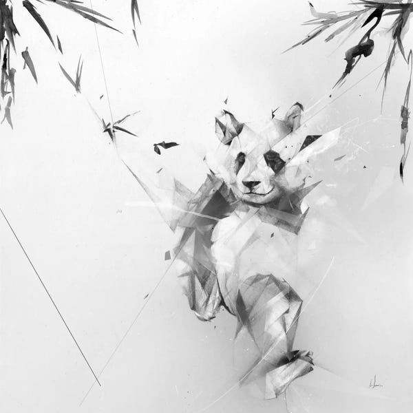 Pandas: Panda by Alexis Marcou
