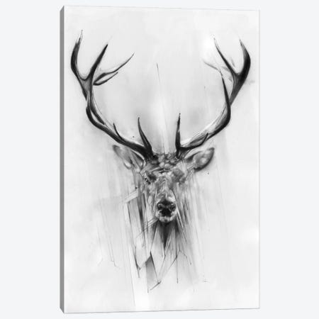 Red Deer Canvas Print #AMU24} by Alexis Marcou Canvas Art