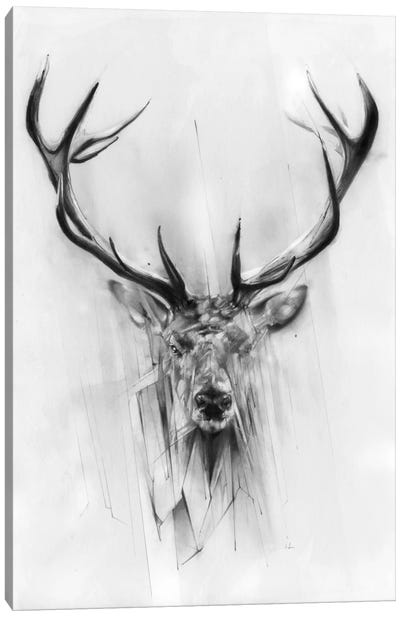 Red Deer Canvas Art Print - Alexis Marcou
