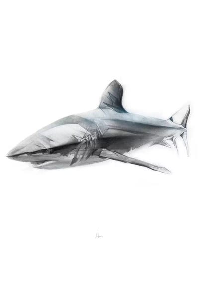 Shark I by Alexis Marcou art print