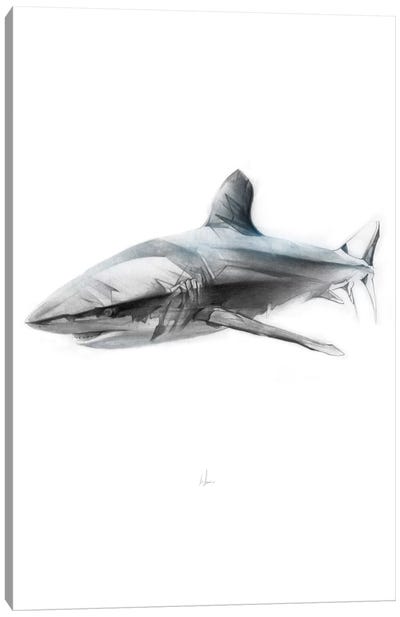 Shark I Canvas Art Print - Sea Life Art