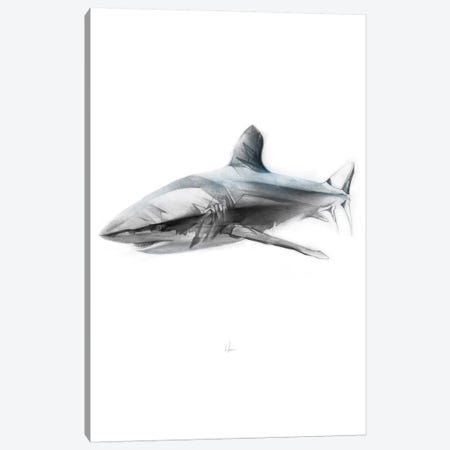 Shark I Canvas Print #AMU26} by Alexis Marcou Canvas Art