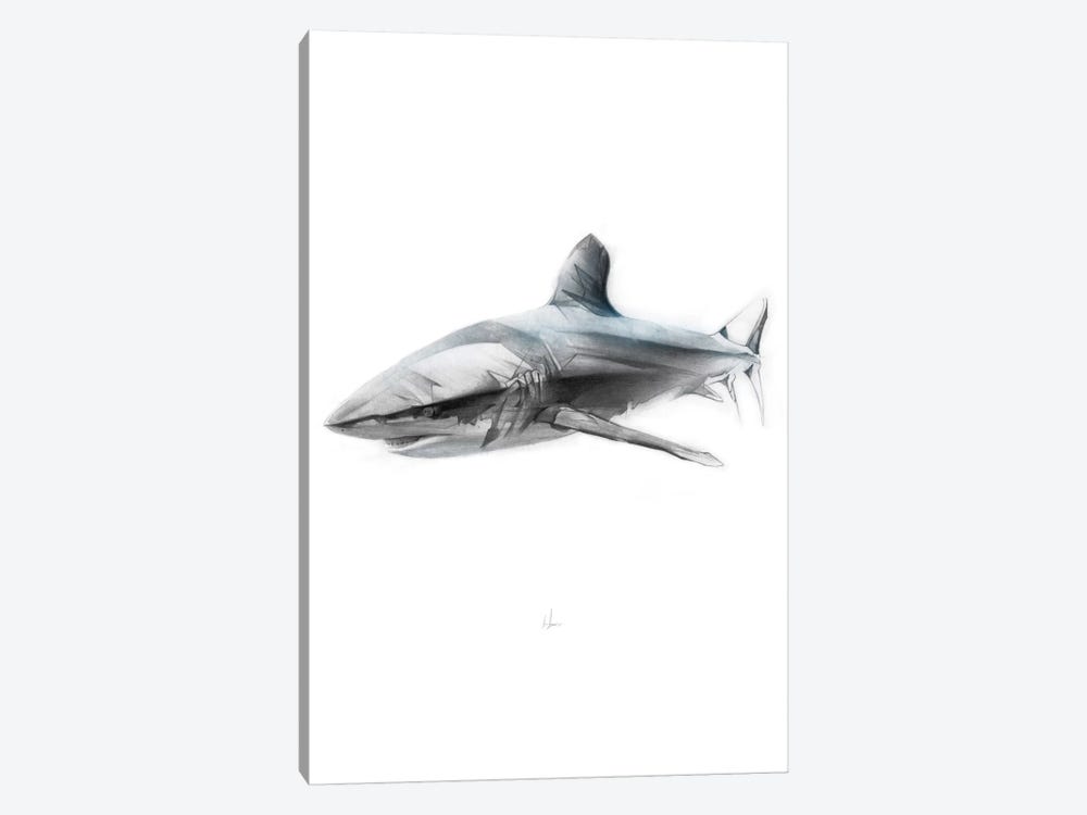 Shark I by Alexis Marcou 1-piece Canvas Art