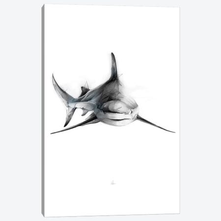 Shark II Canvas Print #AMU27} by Alexis Marcou Canvas Art