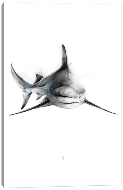 Shark II Canvas Art Print - Black & White Graphics & Illustrations