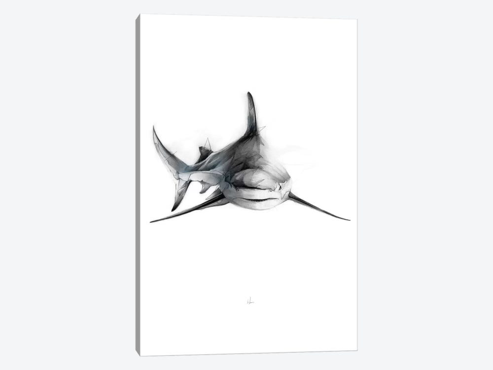 Shark II by Alexis Marcou 1-piece Canvas Print