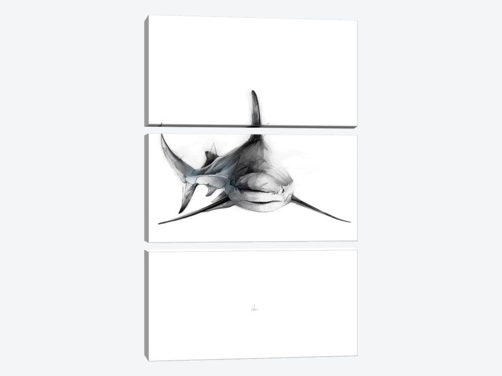 Shark II by Alexis Marcou 3-piece Art Print