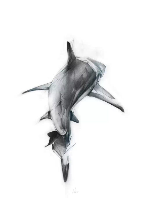 Shark III